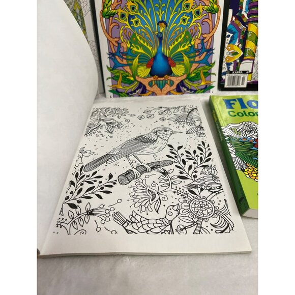 Adult Mandalas and Designs Coloring Books Set of 6 - Picture 5 of 10